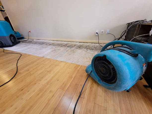 Reliable Flood Damage Restoration contractor in La Crosse, KS by Hirex Water Damage