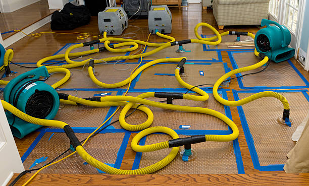 Professional Flood Damage Restoration technician working in La Crosse, KS